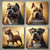 Los diferentes tipos de American Bully: XL, Pocket, Standard y más