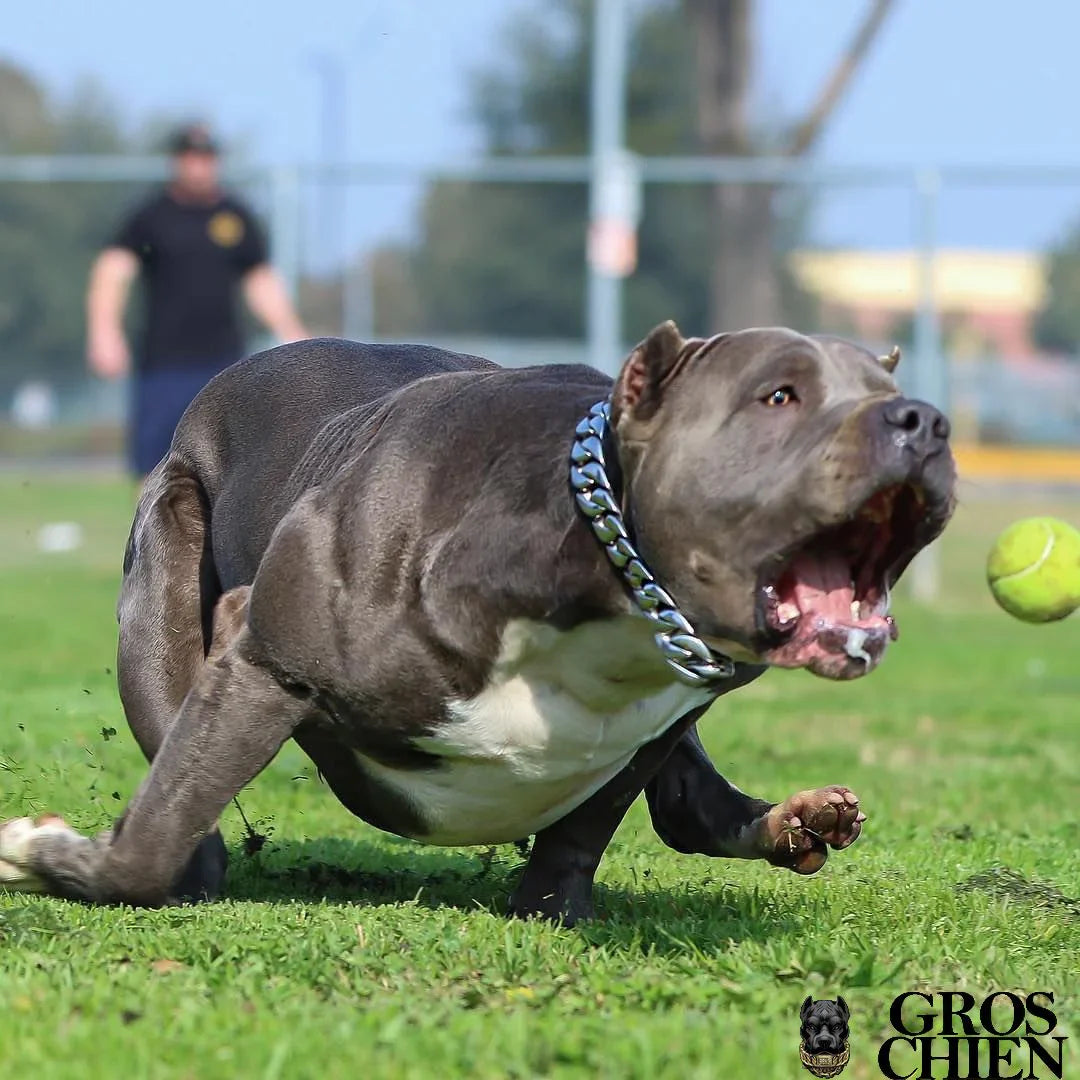 JUGUETE PARA PERRO GRANDE
