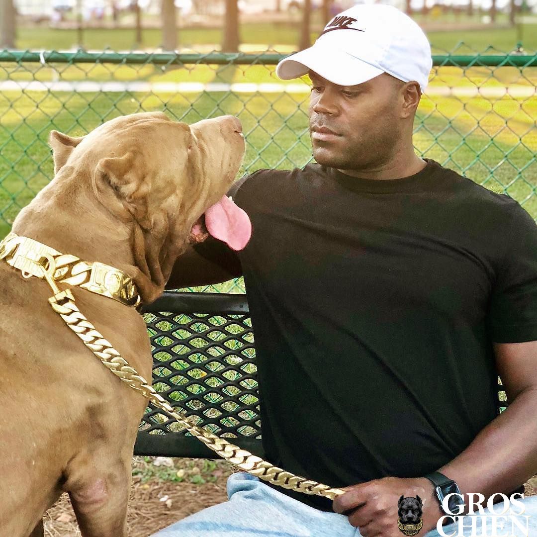 CORREA PARA PERRO GRANDE