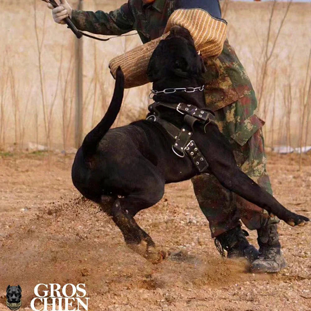 ARNÉS PARA PERRO GRANDE